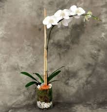 Multi award winning independent florist in gravesend kent, specialists in bespoke funeral tributes and wedding flower arrangements. 10 Ideas For Funeral Flowers Arrangements When You Want Something Unique In 2019 Kremp Florist Blog
