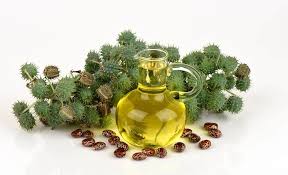 Some might even argue that it's the secret to hair growth.whether you're looking to add some visible inches, help repair damage, or need a moisture fix for highly porous hair, castor oil for hair just may be the answer. Astonishing Benefits Of Castor Oil For Skin Hair Health The Indian Med