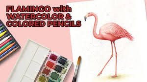 ▻ please like ✯ comment ✯ how to draw easy scenery of a flamingo in the river | simple flamingo scenery drawing step by. How To Draw A Flamingo With Watercolor And Colored Pencils