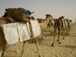 How long did the trip usually take. Mansa Musa S Hajj An Experience Taghaza March 1324 Dusk