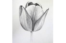Drawing For Beginners 4 Week Online Course Morning The List Free drawing courses and lessons online.