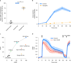 Shop target for smoke detectors alarms & sensors you will love at great low prices. Spatial Decoding Of Endosomal Camp Signals By A Metastable Cytoplasmic Pka Network Nature Chemical Biology
