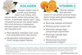 Dan salah satu nutrisi yang diperlukan untuk memastikan kulit sentiasa sihat adalah dengan makan vitamin c. Fungsi Kolagen Vitamin C Kulit Cantik Genkimomma My
