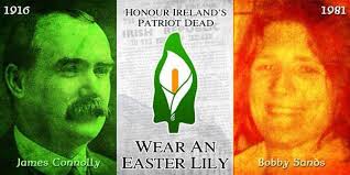 John Sheahan for Ballina LEA