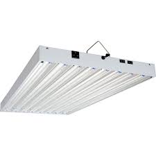 We did not find results for: Agrobrite T5 4ft 8 Bulb 432 Watt 240 Volt Fixture