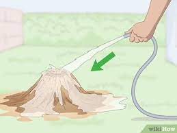 This will effectively and immediately kill many of the ants inside. 4 Easy Ways To Get Rid Of An Ant Hill Wikihow