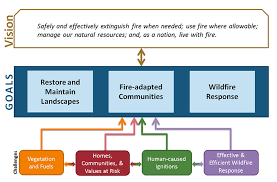 Climate Change Just Reshaped Americas Wildfire Strategy Grist