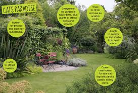 With more than 25,000 species of orchids however, it's best to check with a professional. Create A Cat Friendly Garden Your Cat