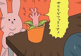 f id q rais 20180327110431j plain スキウサギ ウサギ うさぎ