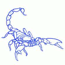 How To Draw A Scorpian Scorpion Tattoo Scorpio Tattoo Tattoo Drawings