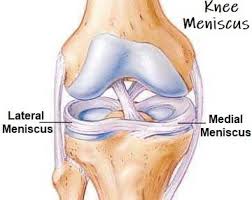 Ligaments keep your bones connected to one another and help keep your skeleton connected and stable. Side Of Knee Pain