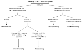 image result for competing pathways behavior chart aba