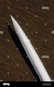 Stingray barb immagini e fotografie stock ad alta risoluzione