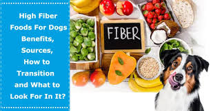 Just like humans, dogs are renowned for suffering from constipation and other problems with their digestive tract if they do not regularly consume a diet that is a good source of both insoluble fiber and soluble fiber. High Fiber Foods For Dogs Benefits Sources How To Transition And What To Look For In It Petxu