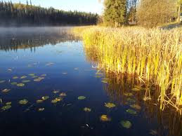 Compare prices of hotels in 100 mile house on kayak now. 100 Mile House Bc 100 Mile House British Columbia Natural Landmarks