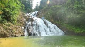 The park is so large that it actually straddles two malaysian states, johor and neighbouring pahang. Endau Rompin Selai Share My Hikes Hikers For Life
