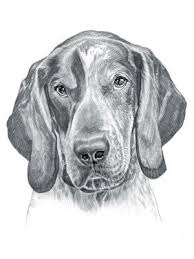 Click image for bigger version. Pin On Pups