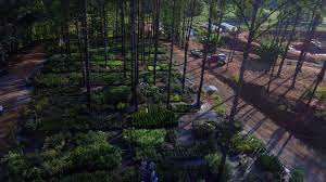 Is an equal employment opportunity employer. Vision Landscaping Associates Watkinsville Athens Arnoldsville Ga Landscaping Services Garden Center