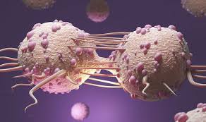 Abnormal calcium levels in the blood may be a sign of kidney problems, bone disease, thyroid disease, cancer, malnutrition, or another disorder. Cancer Detection Blood Test Can Showmore Than 50 Types Of Cancer Before Any Symptoms Show Express Co Uk