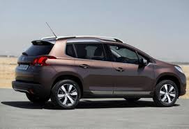 Image result for Brun Guaranja 2014 Peugeot