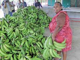 Resultado de imagen para platanos