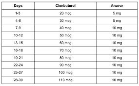 Once the next two week period begins the dosing will begin with where it left off the last time and stay at this point through the total duration of use. Clenbuterol Becomes Trendy Fat Burning Method For Women Az Big Media