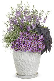 Check spelling or type a new query. How To Choose Container Companions Garden Crossings