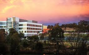 Check out the list of bunnings stores in new south wales. Https S3 Ap Southeast 2 Amazonaws Com Shared Drupal S3fs Master Test Fapub Pdf R2 0 Campbelltown Sustainable Cities Dcp 2015 Volume 3 As Amended 8 Nov 2016 Pdf