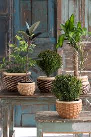 Entrega Un Toque Elegante Y Natural A Tu Hogar Con Estos Maceteros Natura Easy Hogar Jardin Estilo Decoracion De Floreros Decoracion De Unas Macetero