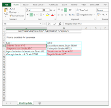How To Compare Two Columns In Excel To Find Differences Image 6 Excel Column Comparing Data