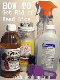 Pin On First Aid Medicine Etc Salt and vinegar solution is an old practice to remove lice.