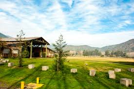 Expedia's hotel search makes booking easy. Parque Safari Chile