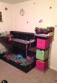 Pin On Guinea Pig Cage Ideas Cavy Diy