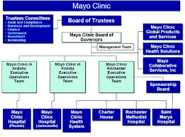 organizational chart of leadership at the mayo clinic the