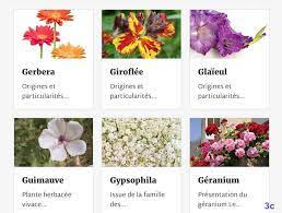 Maybe you would like to learn more about one of these? Liste Alphabetique Des Fleurs 3c Arbre Fleuri Plante Herbacee Langage Des Fleurs