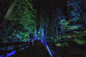 Tips To Enjoy The Magic Of Vallea Lumina Whistler The Travelling Mom Whistler Factory Lighting Night Walking
