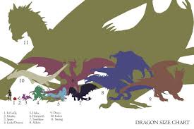 Dragon Size Chart Dragon Art Smaug Dragon Dragon