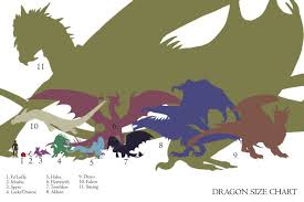 dragon size chart dragon art smaug dragon dragon