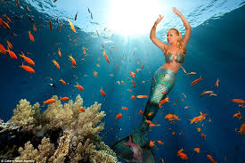 Mermaid sightings off of florida and throughout the caribbean have been reported for centuries. Mermaid Melissa Wears Her Tail Everyday Can Hold Her Breath Underwater For Five Minutes Daily Mail Online