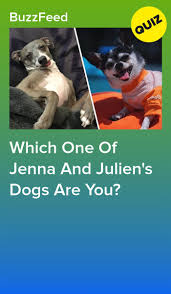 Pin On Quiz Me Again