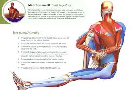 Pin By Rene Langlois On Ytt Syllabus Yoga Anatomy Poses