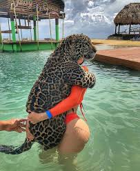 There is a solution to everything even though there are doubts. Pin On Https Www Pinterest Com Au Davidmoonfx