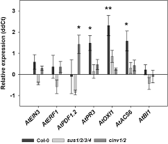 Substantial evidence supports the prevailing notion that plants possess a two. Serendipita Indica Changes Host Sugar And Defense Status In Arabidopsis Thaliana Cooperation Or Exploitation Springerlink