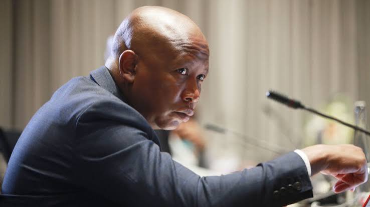 Julius Malema Archives - Judges Matter