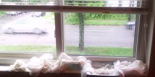 It can indicate an opportunity for cold air to come in during the winter and your heat to escape. How To Find Fix And Prevent Window Water Leaks Windows And More