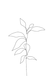 Créez votre effet de dessin au crayon en ligne sur votre photo, c'est gratuit. Art Print Minimal Line Drawing Of Plant Botanical Illustration Dessin Ligne Art Minimaliste Illustration En Noir Et Blanc