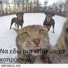 [Εικόνα: images?q=tbn:ANd9GcQiSP4pbjkRLZZvn24DMbG...i-E5uZaw&s]