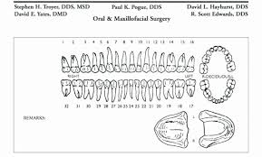 54 Brilliant Dental Charting Template Home Furniture