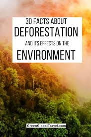 30 Facts About Deforestation Effects On The Environment Deforestation What Is Deforestation Deforestation Facts