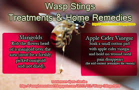 Wasp Stings Treatments Home Remedies Remedies Natural Remedies Home Remedies